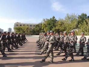 军训最新爆料视频大全,精彩瞬间尽收眼底